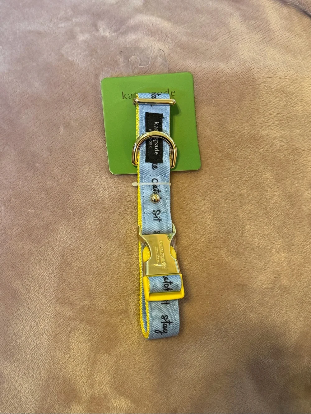 kate spade Raining Cats And Dogs Collar (m/l)